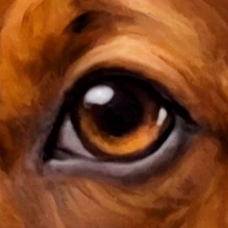 closeup picture of some of the details in Sweet Five product