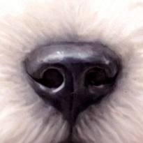 closeup picture of some of the details in Sweet Five product