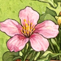 closeup picture of some of the details in Potting Joy product
