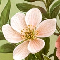 closeup picture of some of the details in A Hug in Bloom product