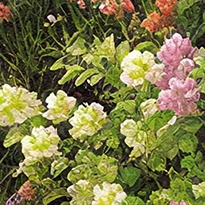 closeup picture of some of the details in Fairy Castle  product