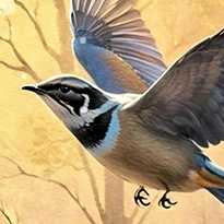 closeup picture of some of the details in Let it Snow product