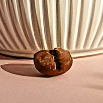 closeup picture of some of the details in Espresso Yourself product