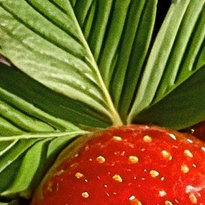 closeup picture of some of the details in Espresso Yourself product