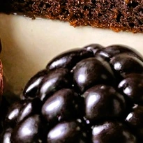 closeup picture of some of the details in Balanced Diet product