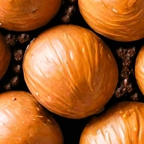 closeup picture of some of the details in Balanced Diet product