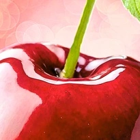 closeup picture of some of the details in Balanced Diet product