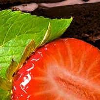 closeup picture of some of the details in Balanced Diet product