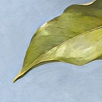 closeup picture of some of the details in Magnolia Elegance product