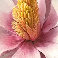 closeup picture of some of the details in Magnolia Elegance product
