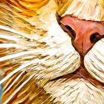 closeup picture of some of the details in Cat & Art product
