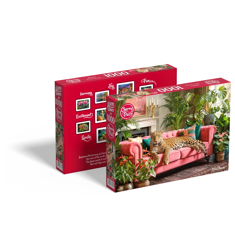 picture of 'Silent Power' product box