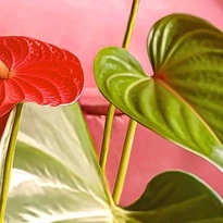 closeup picture of some of the details in Silent Power product