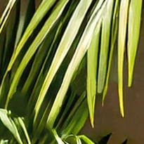 closeup picture of some of the details in Silent Power product