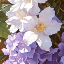 closeup picture of some of the details in The Secret Wish product