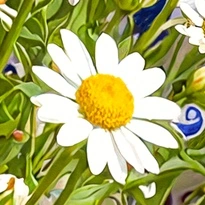 closeup picture of some of the details in Pottery in Bloom product