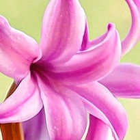 closeup picture of some of the details in Pottery in Bloom product